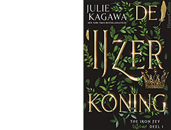Boek De IJzerkoning
