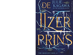 Boek De IJzerprins