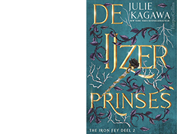 Boek De IJzerprinses