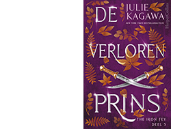 Boek De verloren prins